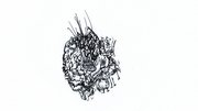 Image blurt