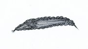 Image braided