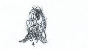Image brood