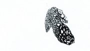 Image e-closure