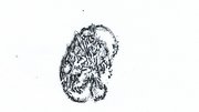 Image hide