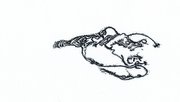 Image peripherals