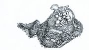 Image tectonic